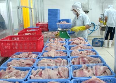 12 weitere vietnamesische Unternehmen dürfen Pangasius in die USA exportieren - ảnh 1